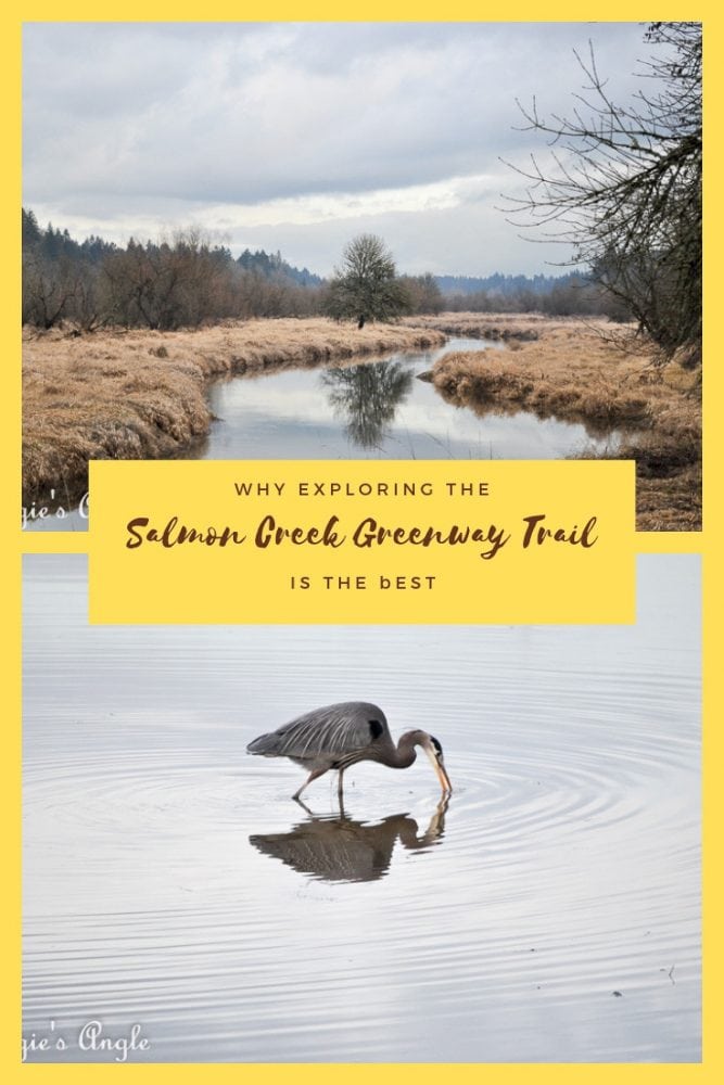 Exploring the Salmon Creek Greenway Trail - Pin