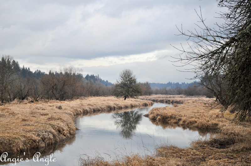 Salmon Creek Greenway Trail January-10