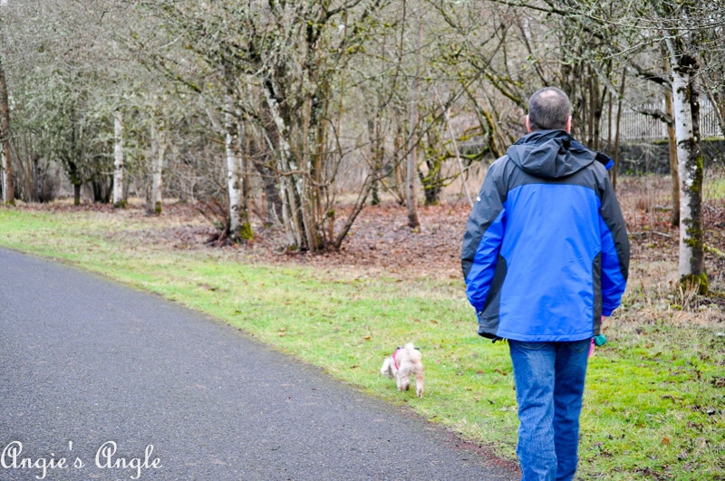 Salmon Creek Greenway Trail January-23