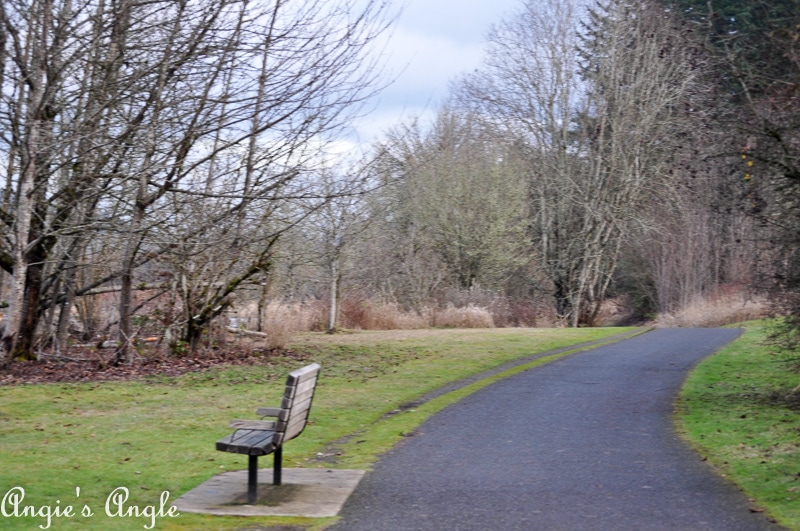 Salmon Creek Greenway Trail January-25