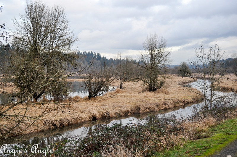 Salmon Creek Greenway Trail January-7