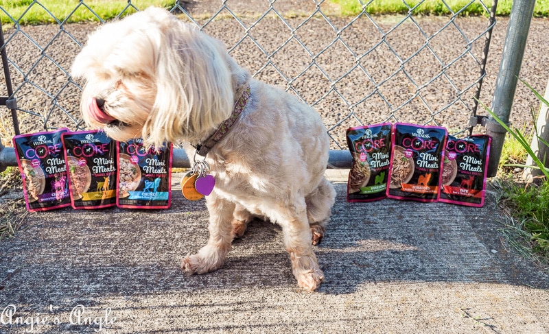 2019 Catch the Moment 365 Week 18 - Day 121 - Roxy and Wellness Pet Food