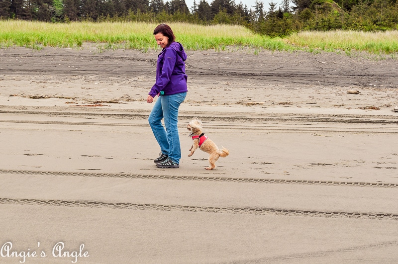 2019-Catch-the-Moment-365-Week-20-Day-135-Roxy-Attacks-Mommy