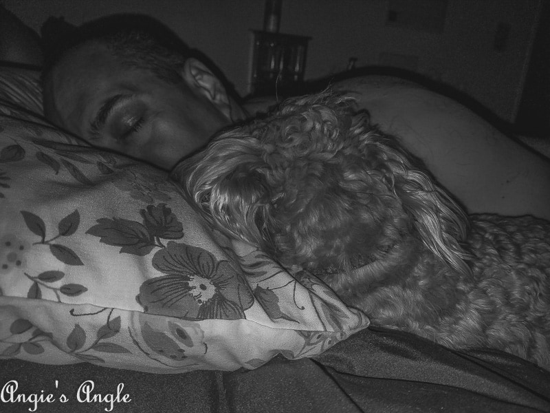 2019-Catch-the-Moment-365-Week-21-Day-147-Roxy-and-Daddy-Sharing-a-Pillow