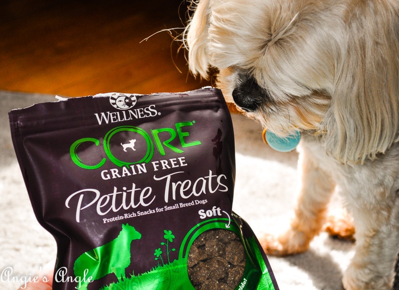 Wellness core petite clearance treats