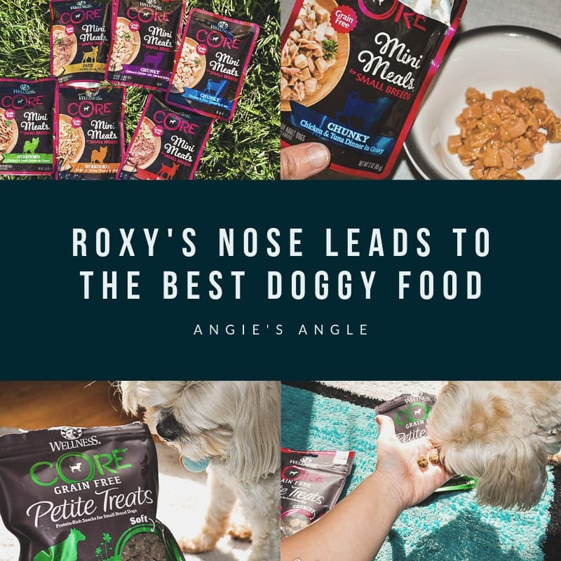 Roxys Nose Leads to the Best Doggy Food - Social