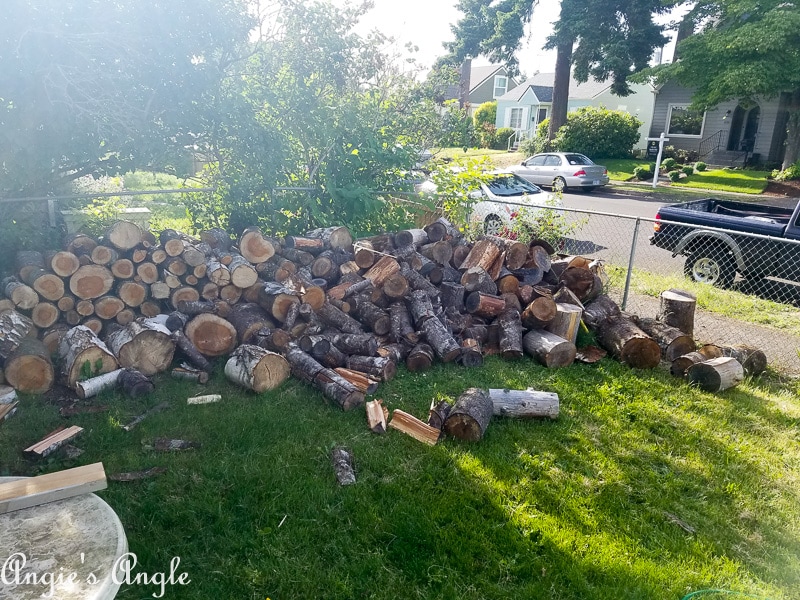 2019-Catch-the-Moment-365-Week-22-Day-153-Massive-Mess-Wood-Pile