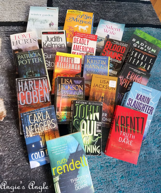 2019-Catch-the-Moment-365-Week-25-Day-173-Library-Sale-Haul