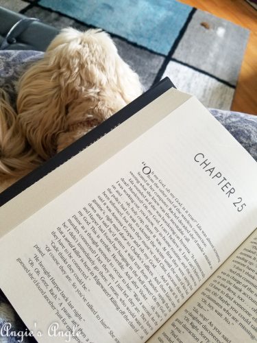 2019-Catch-the-Moment-365-Week-25-Day-174-Sunday-Morning-Cuddles-and-Reading