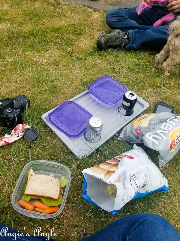 Leadbetter Point Park - picnic