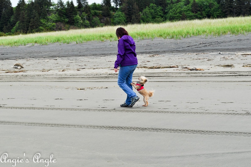 Roxy Running Free at Beards Hollow 2