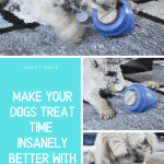 Dogs Treat Time - Pin