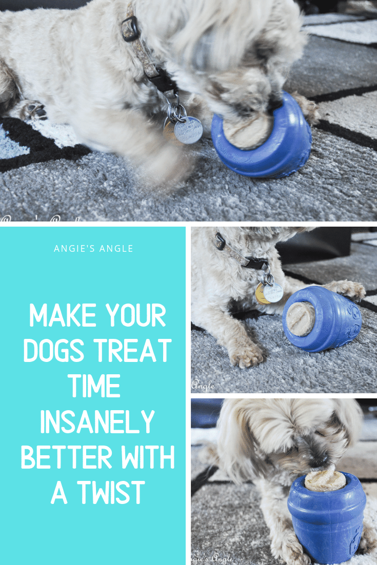 Make Your Dogs Treat Time Insanely Better With a Twist