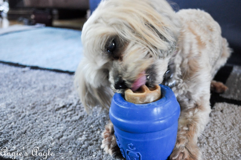 Roxy Biting JW Twist-In Treats 2