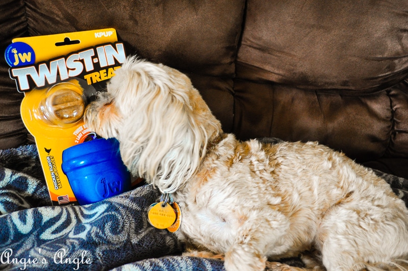 Roxy Sniffing Package of JW Twist-In Treats