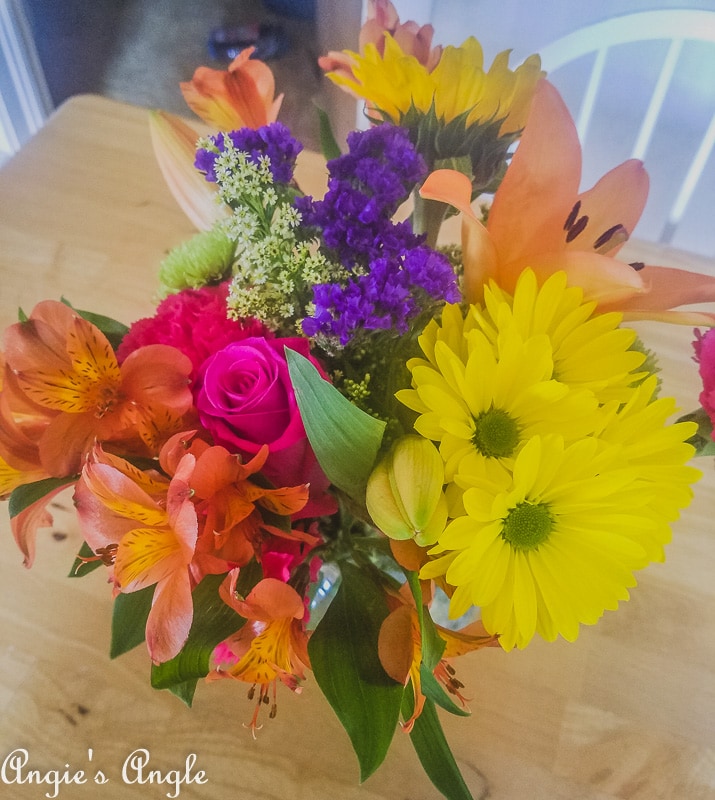 2019-Catch-the-Moment-365-Week-26-Day-178-Anniversary-Flowers-Still-Going-Strong