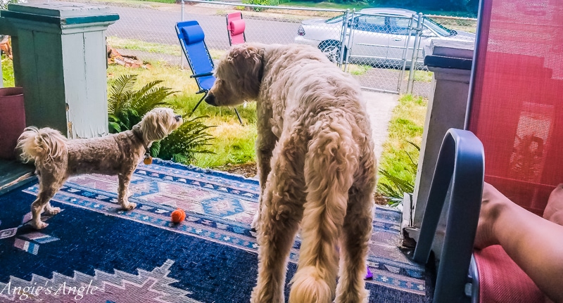 2019-Catch-the-Moment-365-Week-28-Day-192-Almost-Touching-Noses