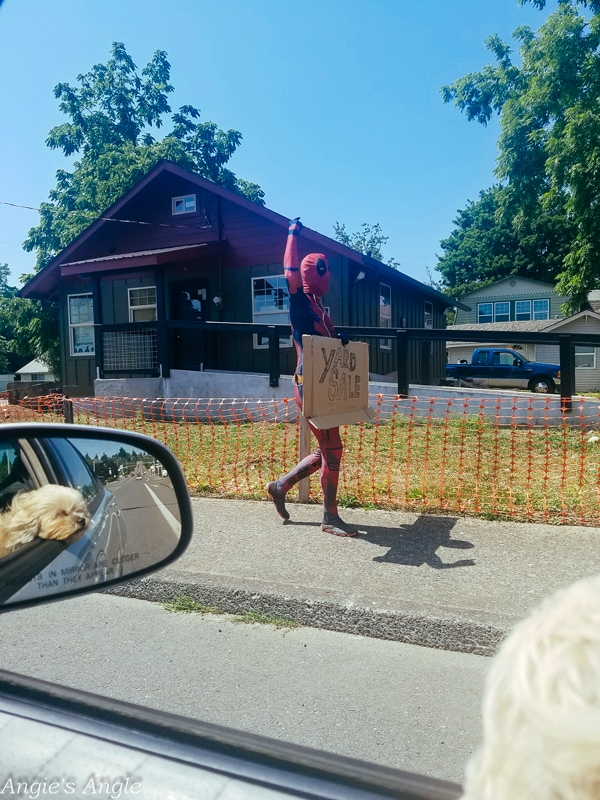 2019-Catch-the-Moment-365-Week-31-Day-215-Spiderman-Yard-Sale