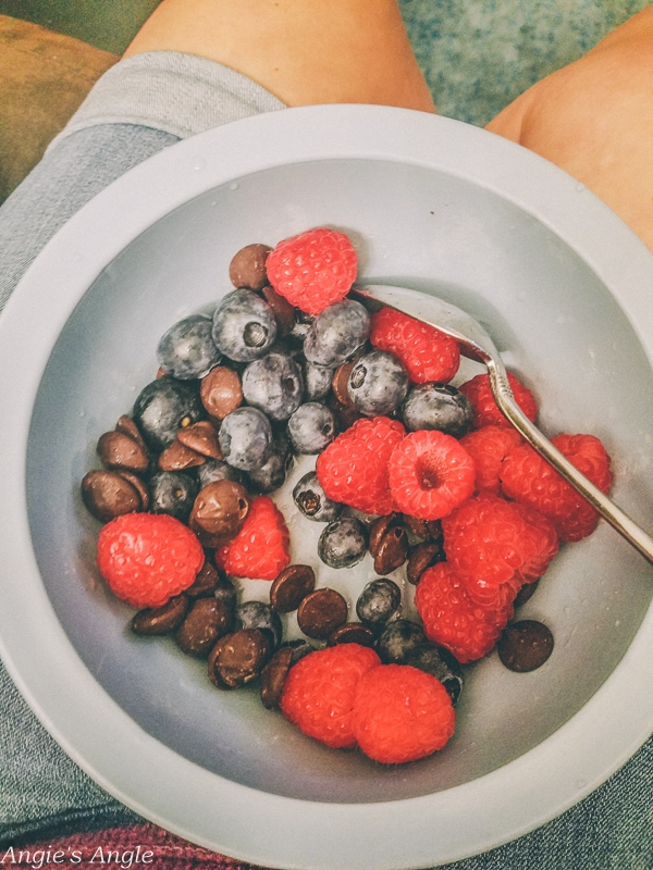 2019-Catch-the-Moment-365-Week-33-Day-225-Berries-and-Chocolate