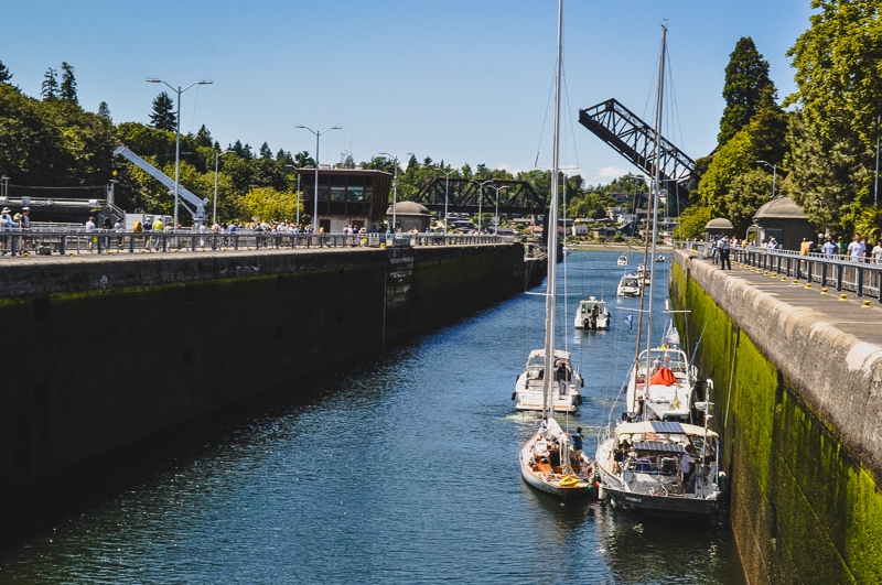 Ballard Locks 4