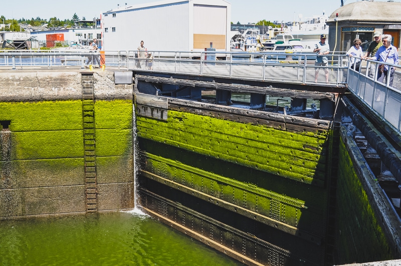 Ballard Locks 2