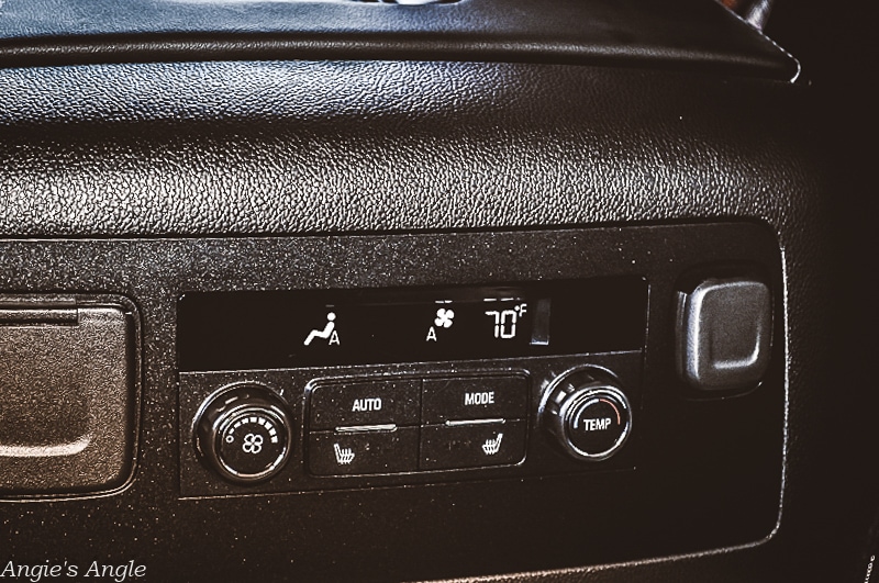 2019 GMC Yukon Backseat Controls