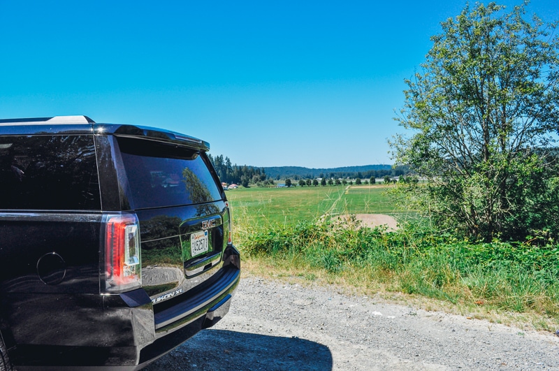 Big GMC Yukon in Carnation