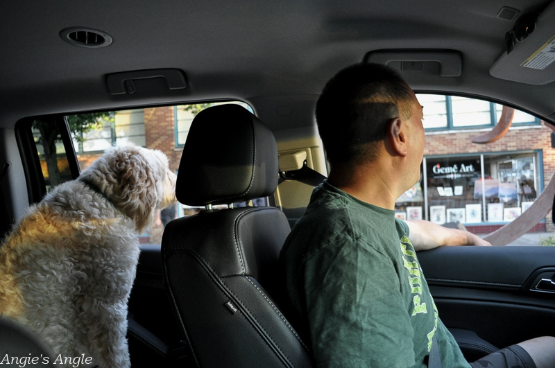 Jason and Turkey Hanging Out in the GMC Yukon XL