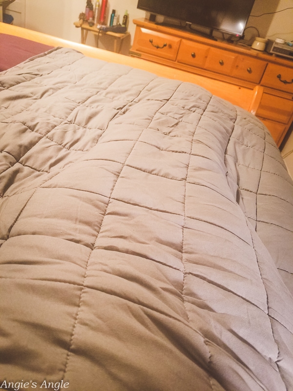 2019-Catch-the-Moment-365-Week-36-Day-250-Weighted-Blanket