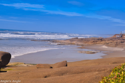 2019-Catch-the-Moment-365-Week-38-Day-266-Exploring-Yachats-Trail