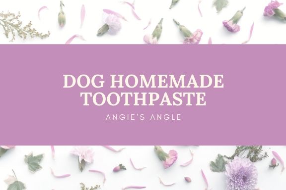 Update-On-My-Dog-Heart-Murmur-Dog-Homemade-Toothpaste-1