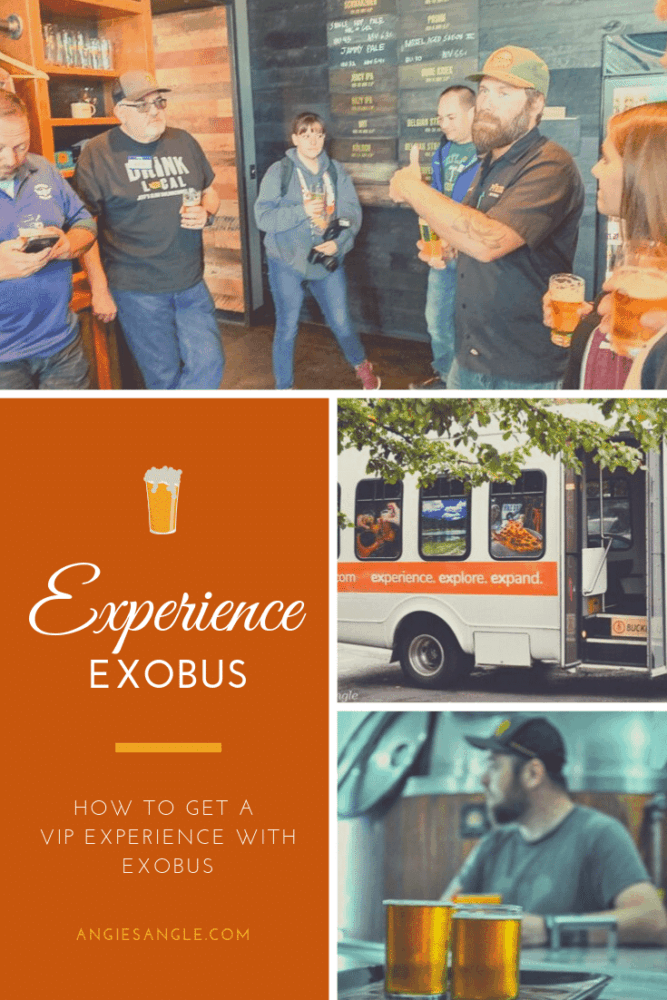 Experience-with-Exobus-Pin