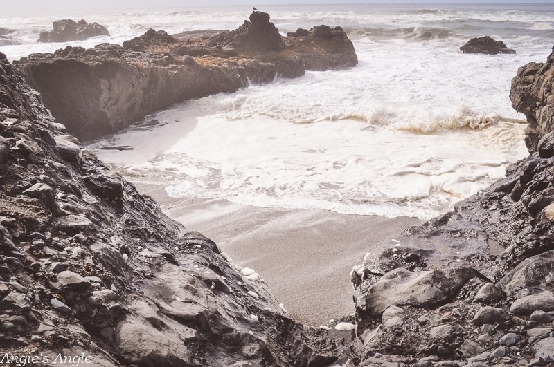 Yachats-Exploring-1