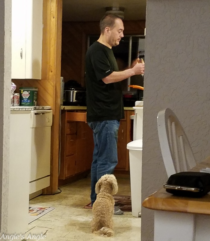 2019 Catch the Moment 365 Week 46 - Day 319  - Roxy Overseeing Daddy Cooking