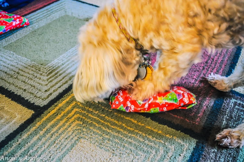 Roxy Unwrapping Christmas Gift 2