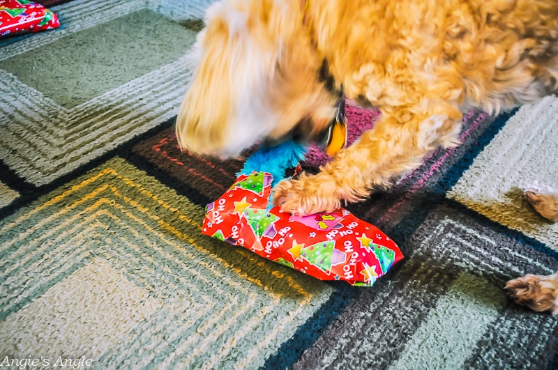 Roxy Unwrapping Christmas Gift