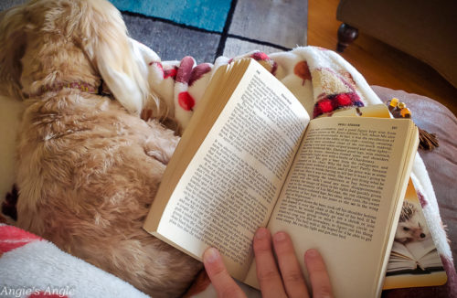 2019-Catch-the-Moment-365-Week-49-Day-337-Cozy-Reading-Cuddles