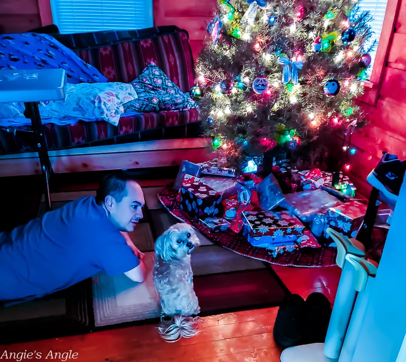 2019 Catch the Moment 365 Week 52 - Day 359 - Christmas Morning