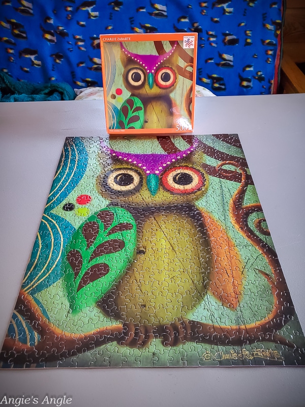 2020 Catch the Moment 366 Week 2 - Day 13 - Completed Owl Puzzle