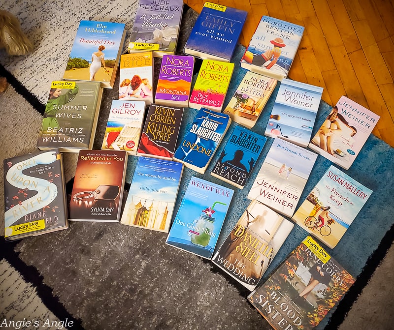 2020 Catch the Moment 366 Week 3 - Day 18 - Library Sale Book Haul