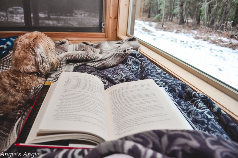 Mt Adams Getaway House - Reading and Enjoying the View