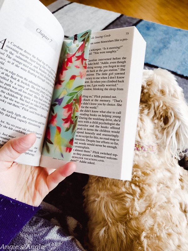 2020 Catch the Moment 366 Week 5 - Day 35 - Morning Reading Cuddles