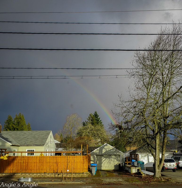 2020 Catch the Moment 366 Week 8 - Day 54 - Faint Rainbow