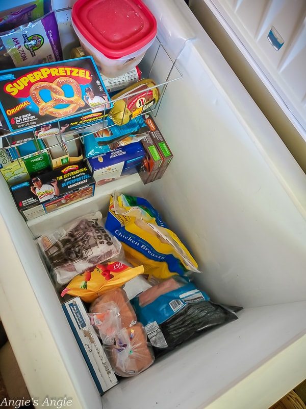 2020 Catch the Moment 366 Week 11 - Day 72 - Clean Chest Freezer