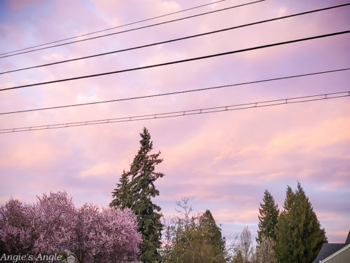 2020 Catch the Moment 366 Week 11 - Day 75 - Pink Clouds