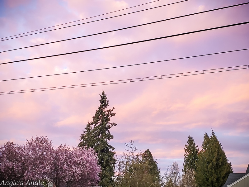 2020 Catch the Moment 366 Week 11 - Day 75 - Pink Clouds