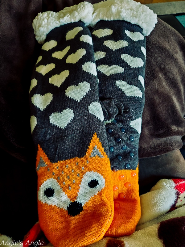 2020 Catch the Moment 366 Week 12 - Day 78 - Fox Socks
