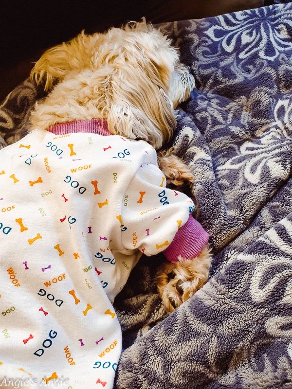 2020 Catch the Moment 366 Week 13 - Day 88 - Sleepy PJ Girl