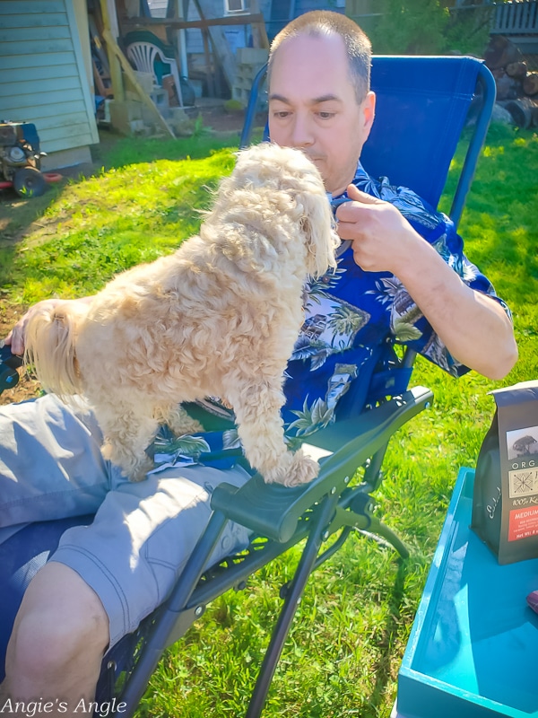 2020 Catch the Moment 366 Week 15 - Day 103 - Roxy Wants Coffee Too