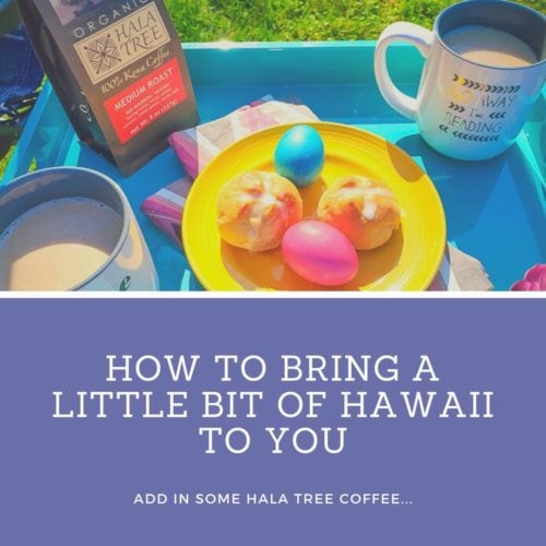 Hawaii to You - Social